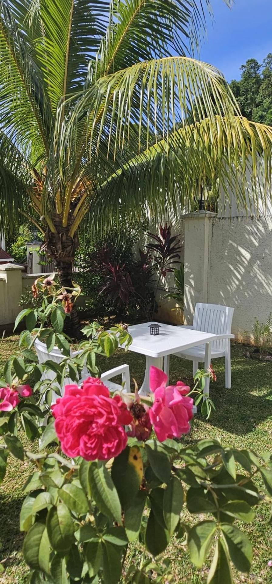 Emma'S Guest House And Self-Catering Au Cap Εξωτερικό φωτογραφία