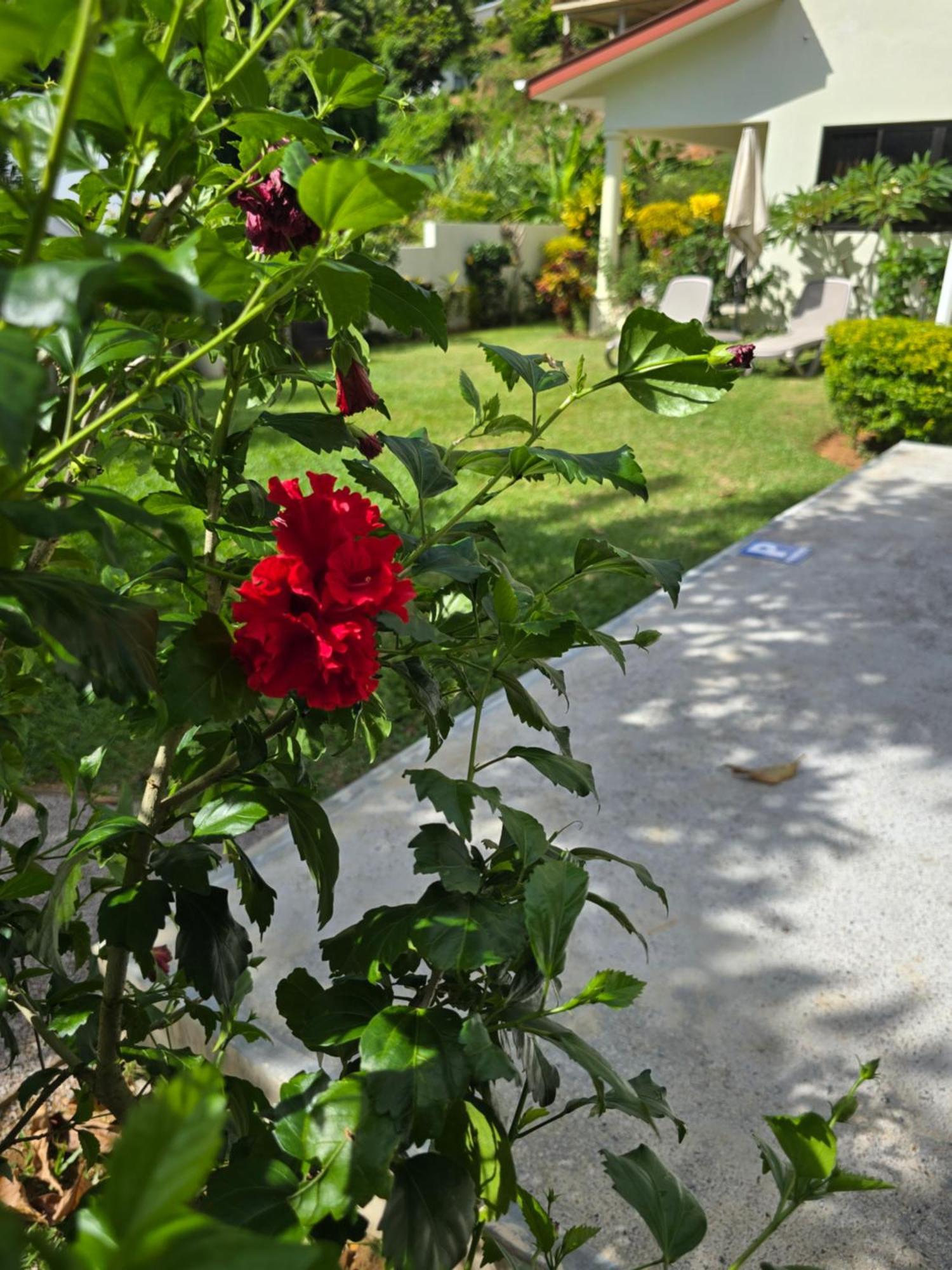 Emma'S Guest House And Self-Catering Au Cap Εξωτερικό φωτογραφία
