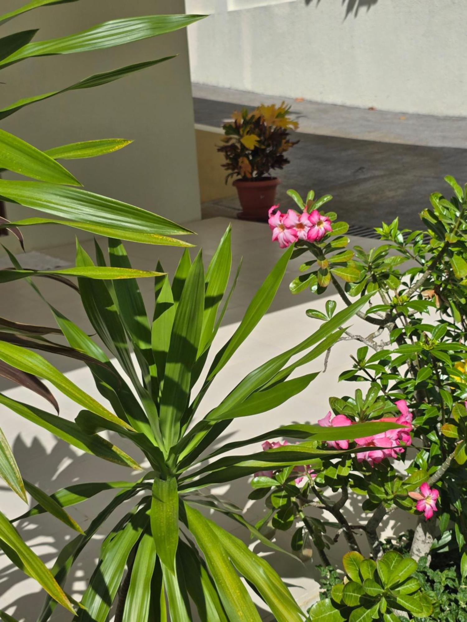 Emma'S Guest House And Self-Catering Au Cap Εξωτερικό φωτογραφία